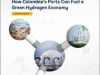 Winds, Waters, and Watts: How Colombia’s Ports Can Fuel a Green Hydrogen Economy